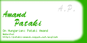 amand pataki business card